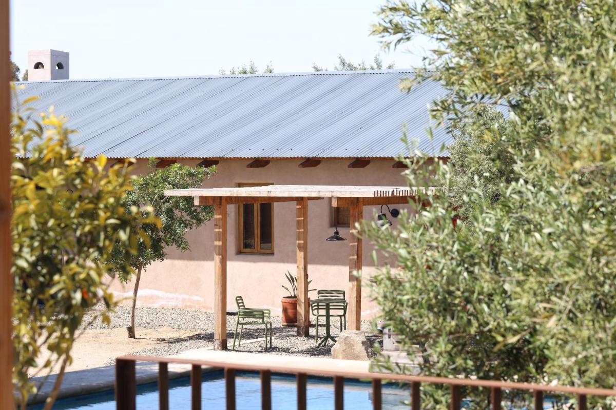 Alma Liebre Viñedos del Valle