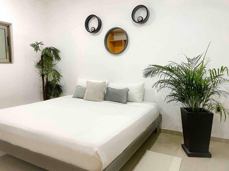 Apartment in the best area of ​​Playa del Carmen