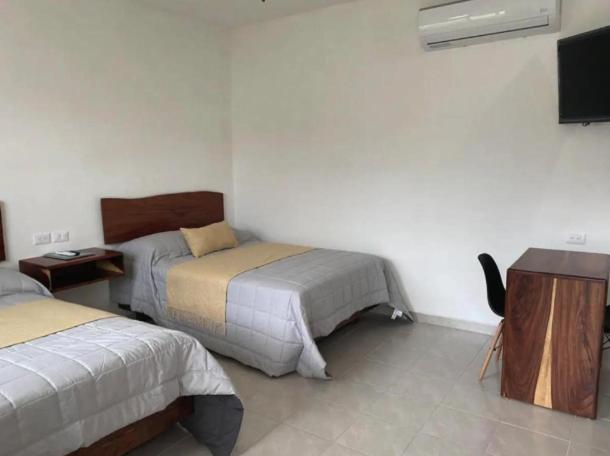 Avenida Suites