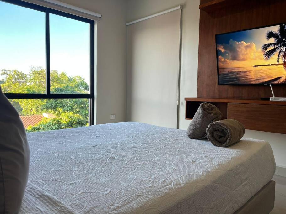 Beautiful 5thAv Condo with Pool! - Distrito Corazon D6 by Solmar Rentals