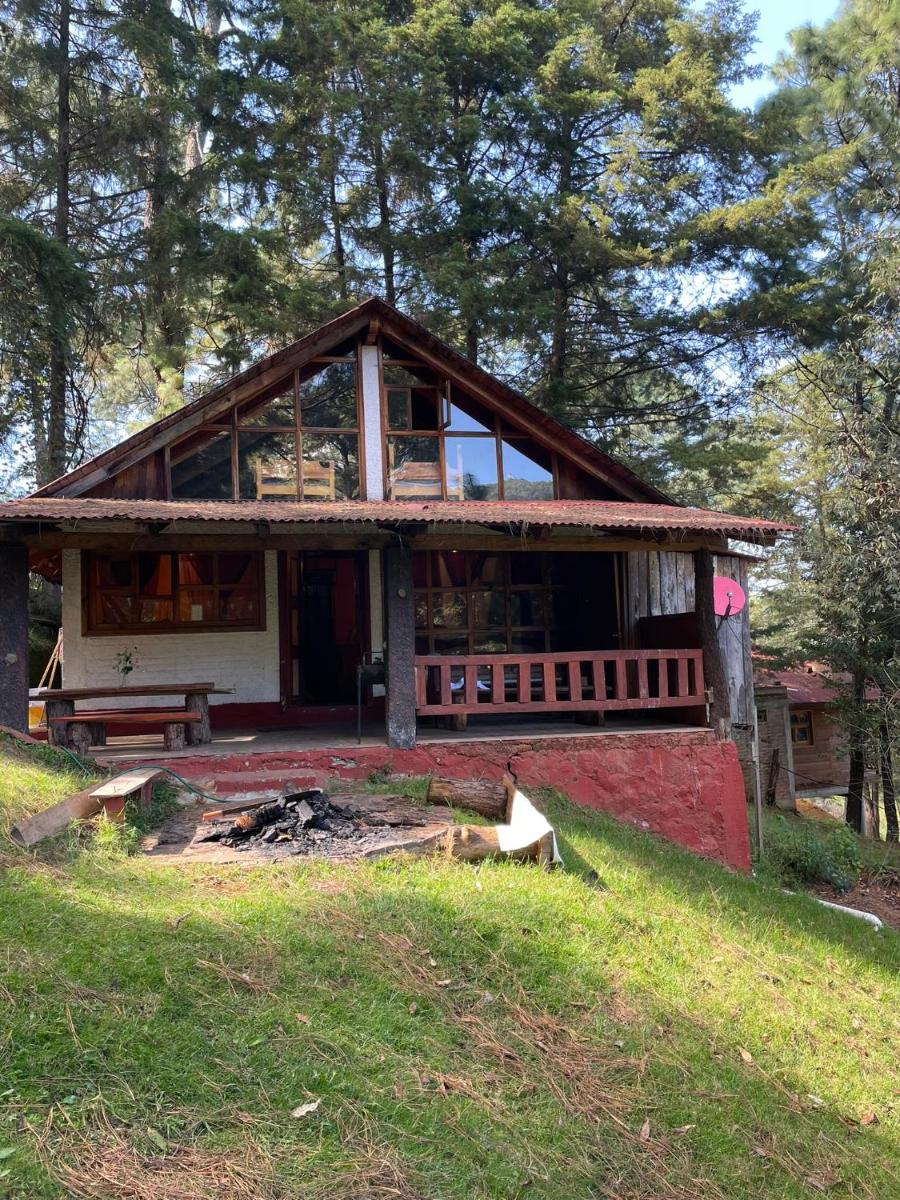 Bonita Cabaña en El Bosque