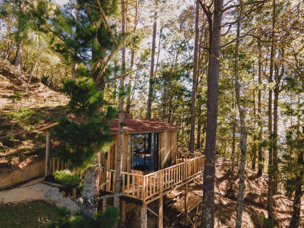 Cabañas Rancho Viejo