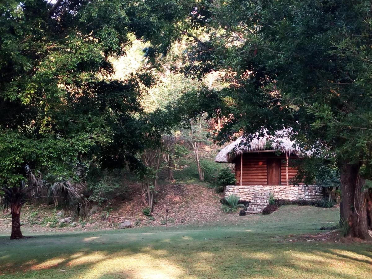 cabins sierraverde huasteca potosina "cabaña la ceiba"