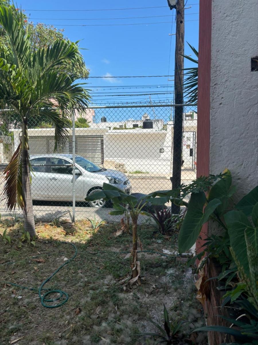 Calle Venado Centro Cancún