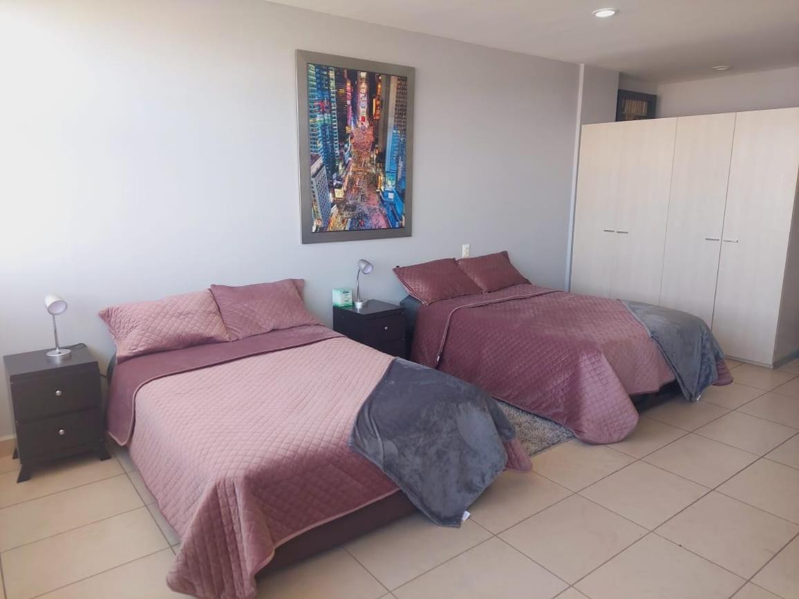 CARSO ALAMEDA BELLAS ARTES Loft Premium