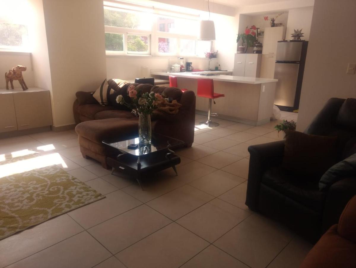 CARSO ALAMEDA DOS RECAMARAS ÚNICO