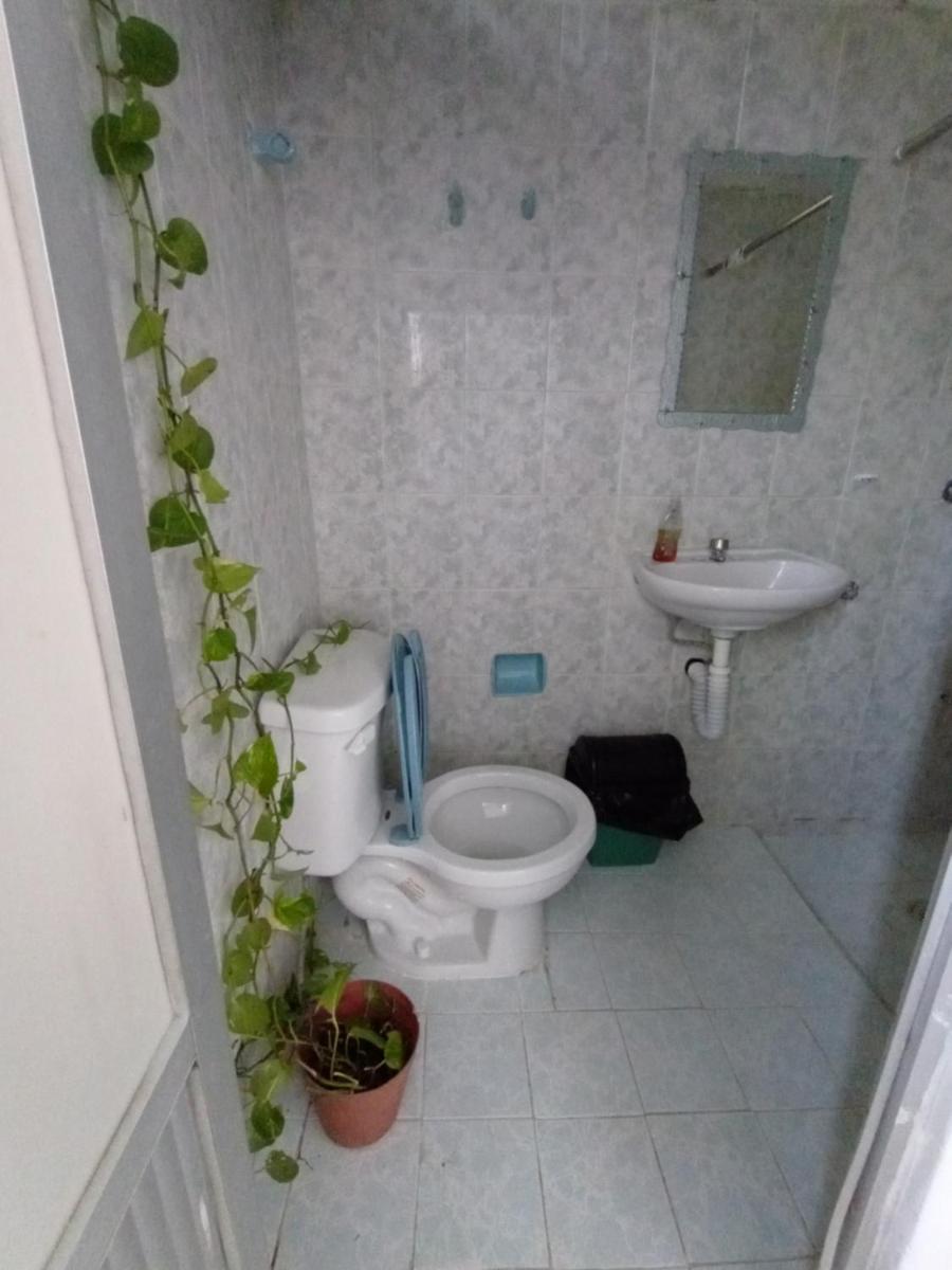 casa bambú