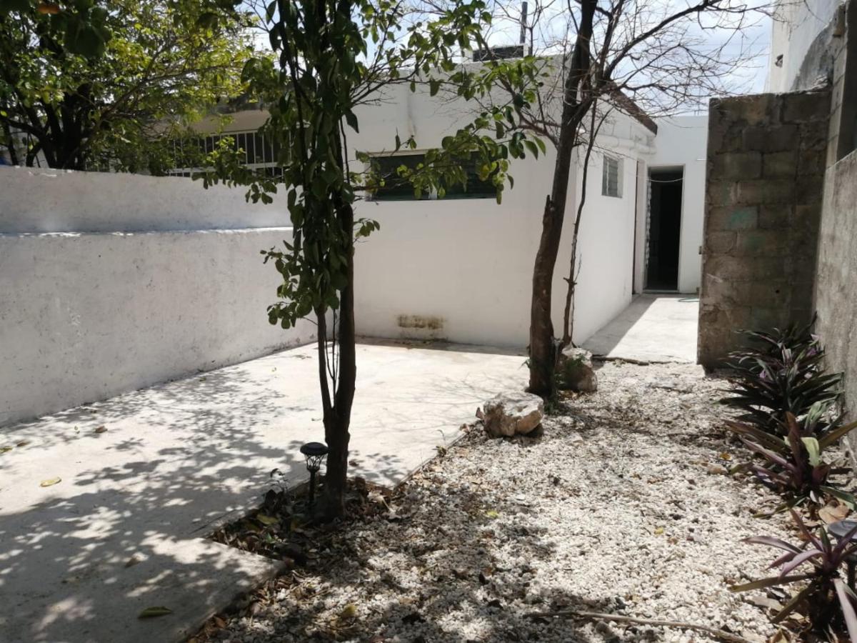 Casa Colonial Centro