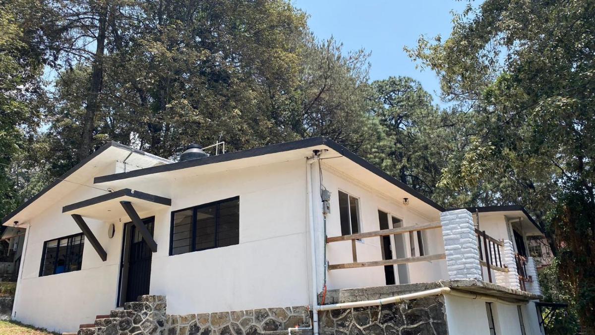 Casa estrella del bosque