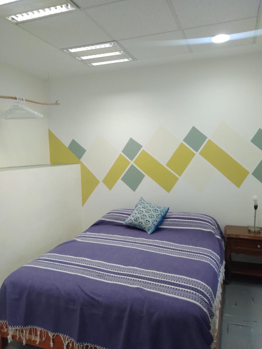 Céntrica y confortable habitación