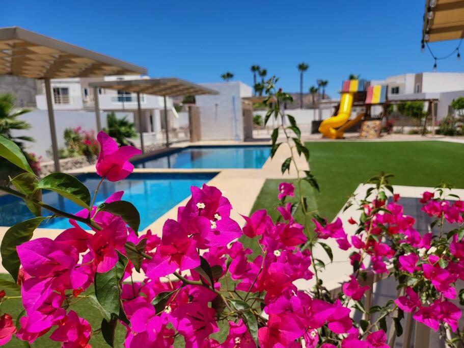 Coral de Cortes - New Beach House