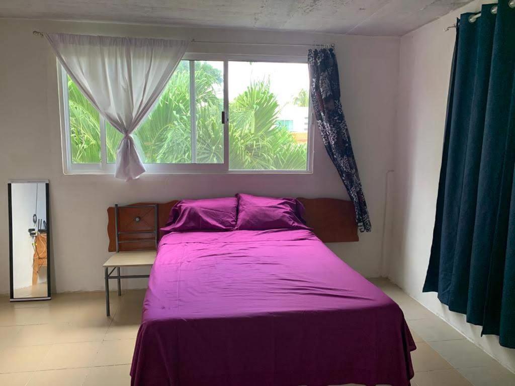 Cozy apartment Av 5 one block from Lagoon