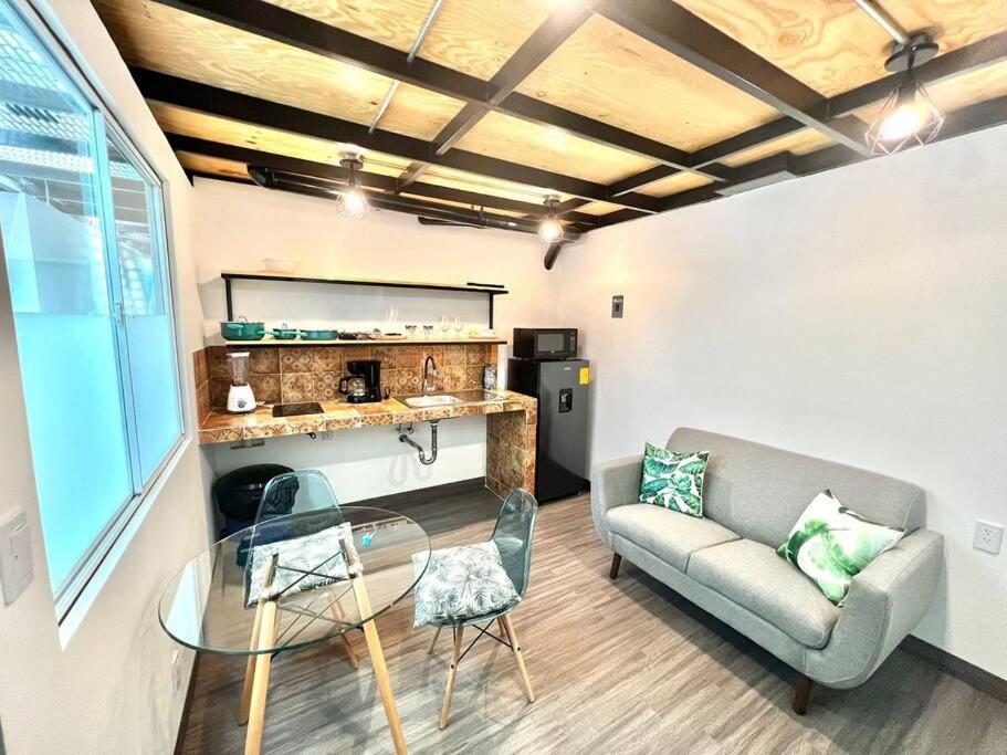 Cozy apartment in Condesa