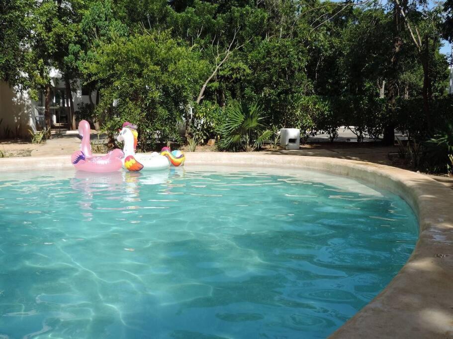 Departamento residencial con alberca Cancún