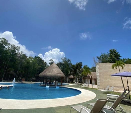 Encanto en Selva escondida