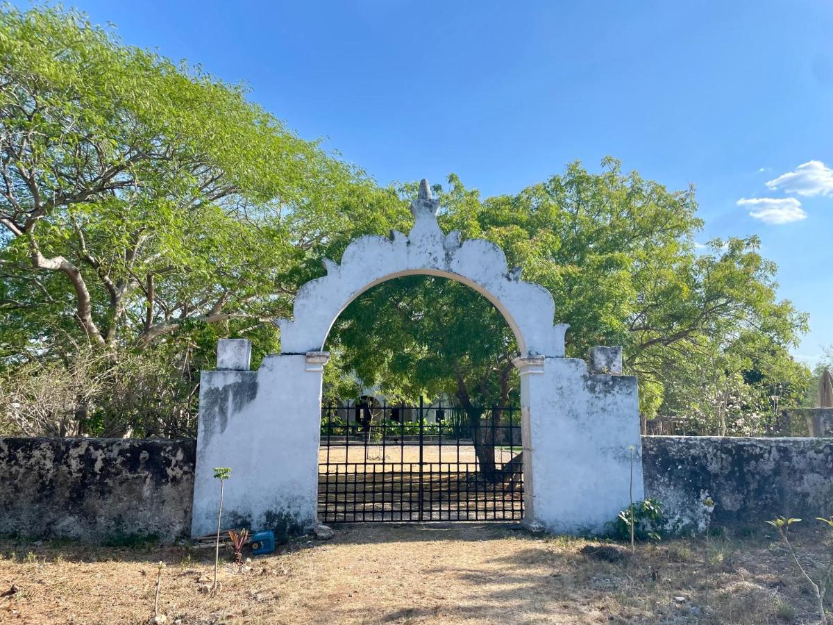 Entire Rustic Estate with Private Cenote & Gardens