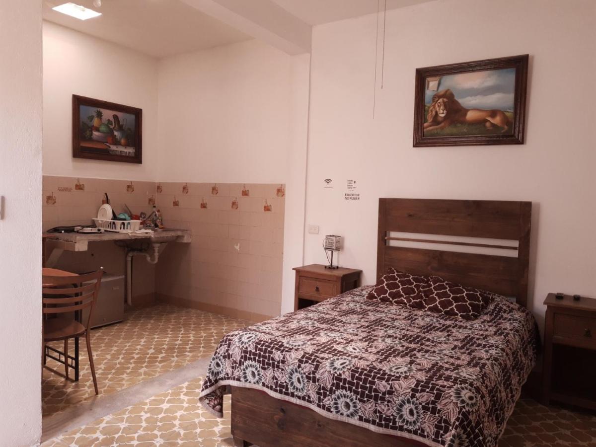 Estudio en el corazón de Coatepec.