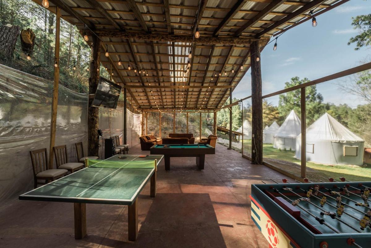 Exclusivo glamping en el bosque