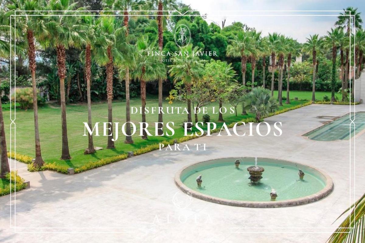 Finca San Javier