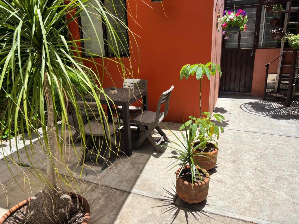 Habitación Palmeras