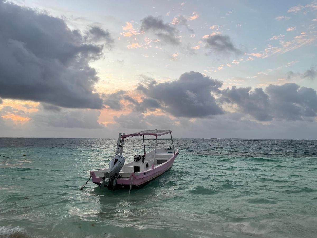 Home's Jungle Puerto Morelos Cancun 20 Minutes from the Airport