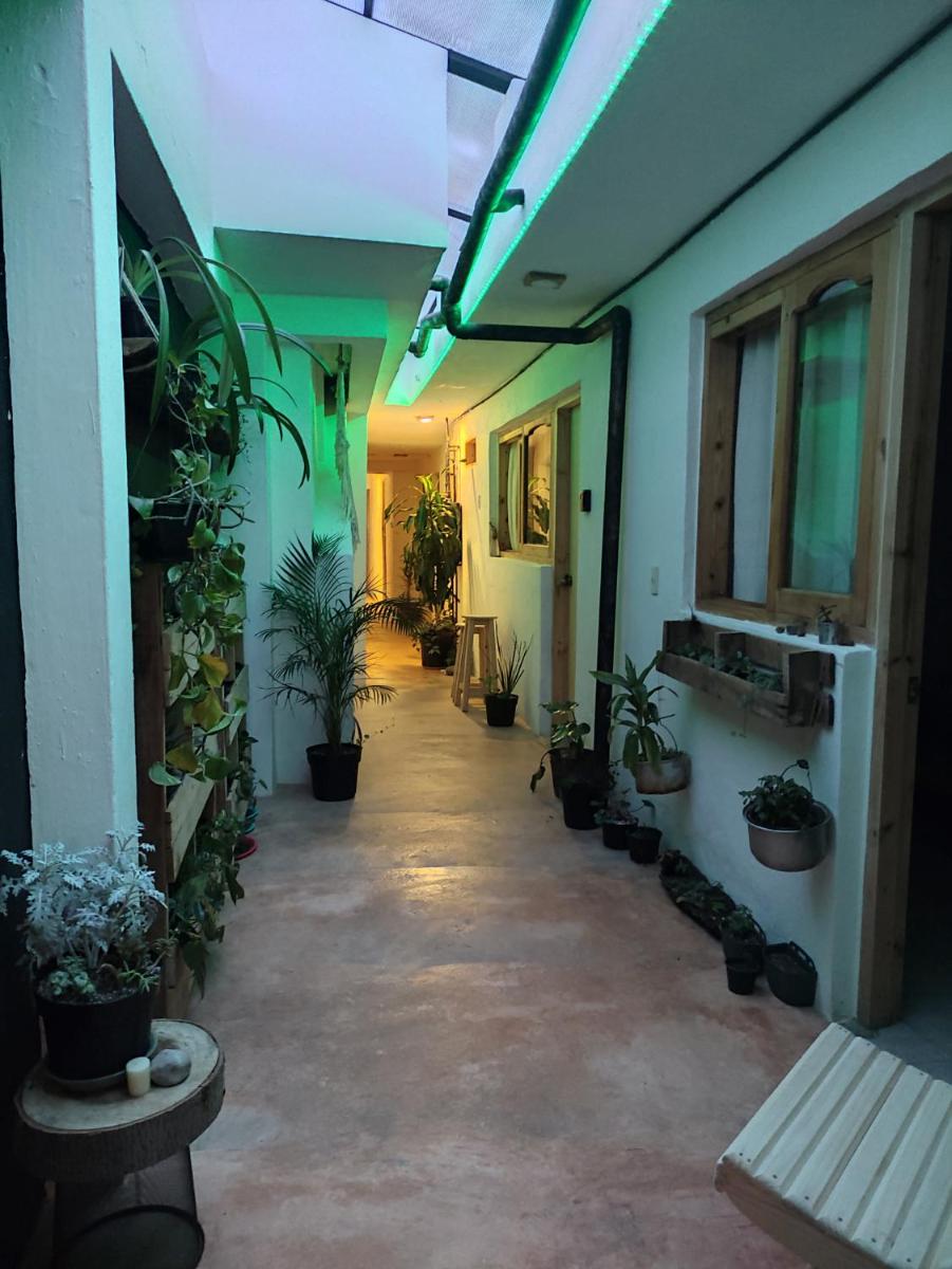 Hostel Boutique 55