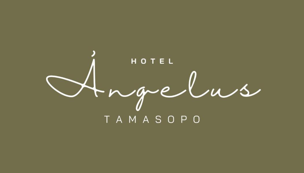 Hotel Angelus