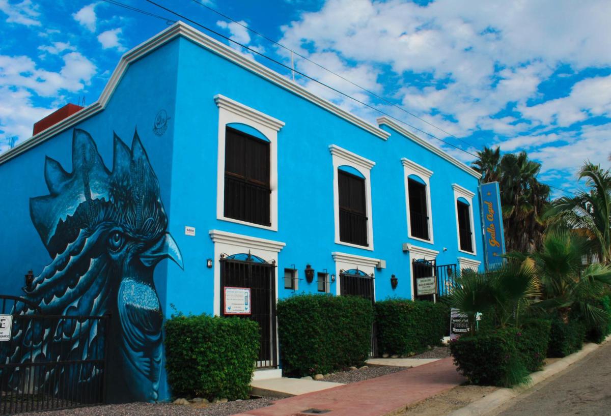 Hotel Gallo Azul, Downtown Todos Santos