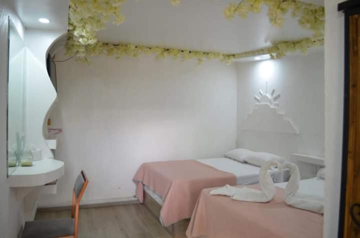 Hotel Vicalis Glamping
