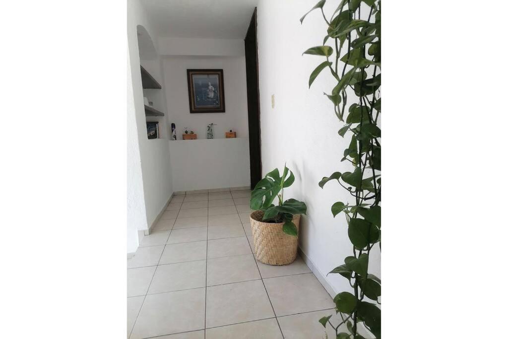 HOUSE IN THE HEART of COLIMA