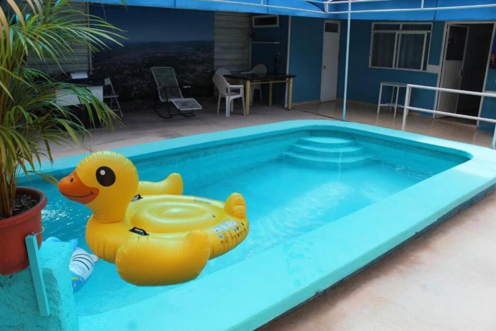 House With a Pool