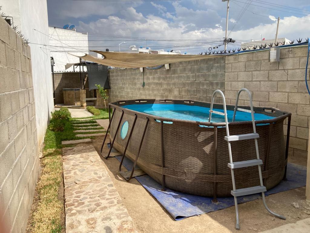 La Arrinconadita