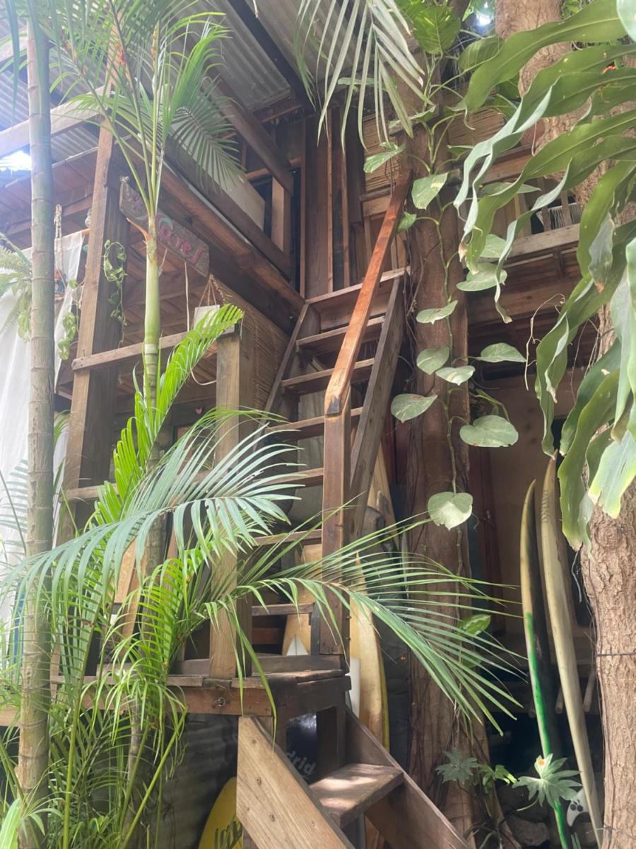 La Punta Surf House -Tree House Starlink