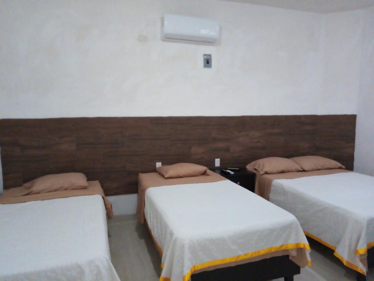 La Terraza-Departamento 5- Parras de la Fuente