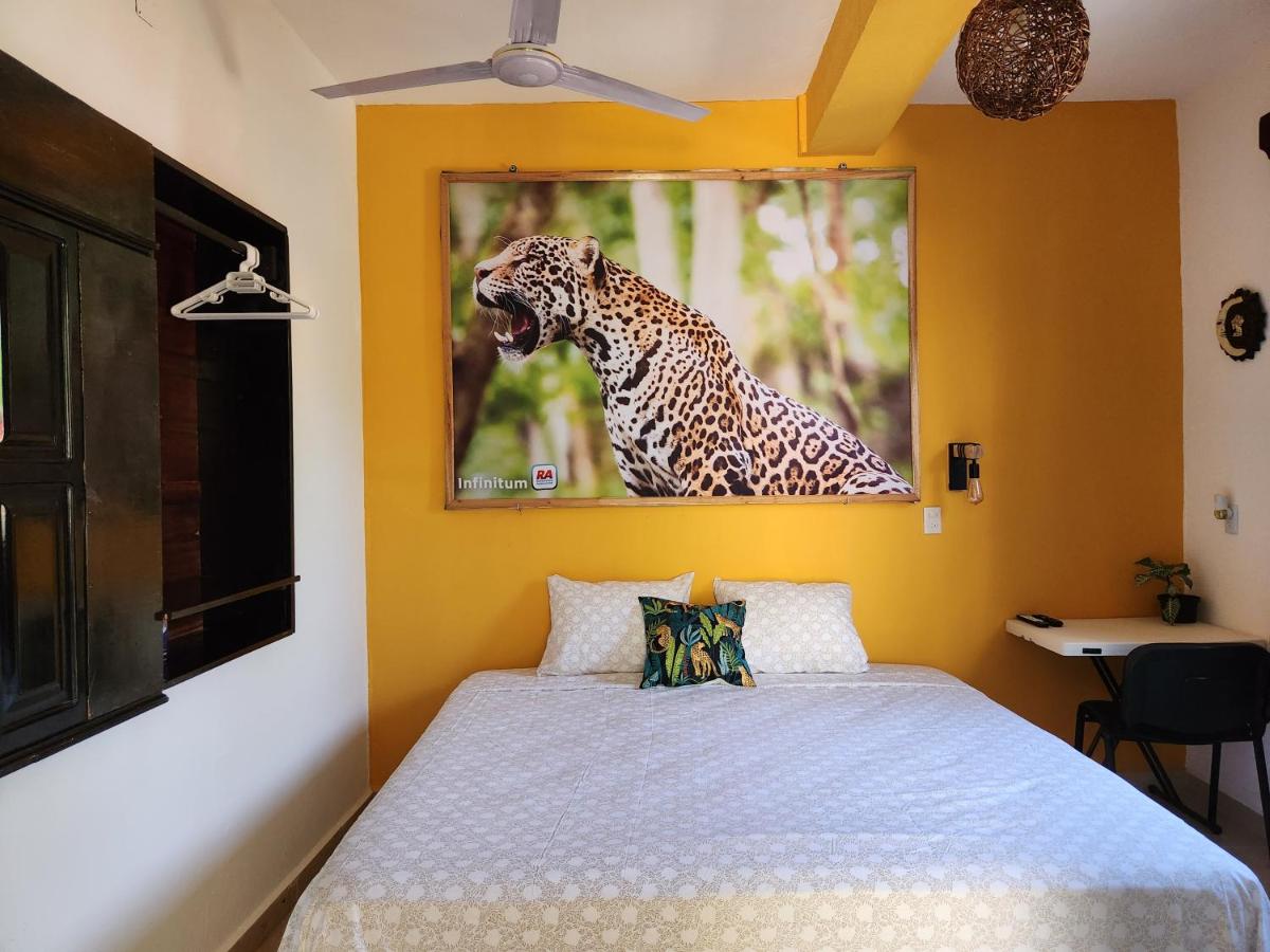 LoftJaguar