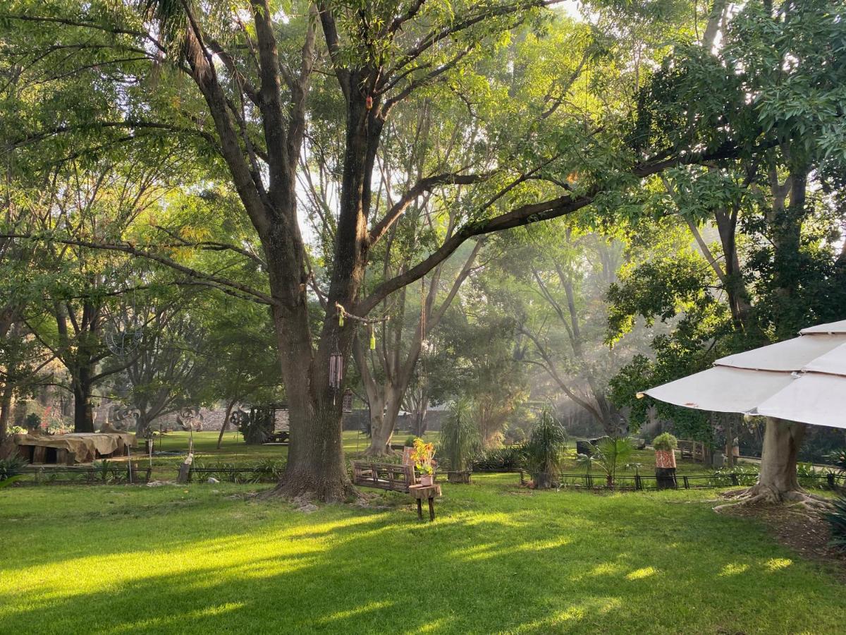 Magnolias Jardin & Boutique Suites
