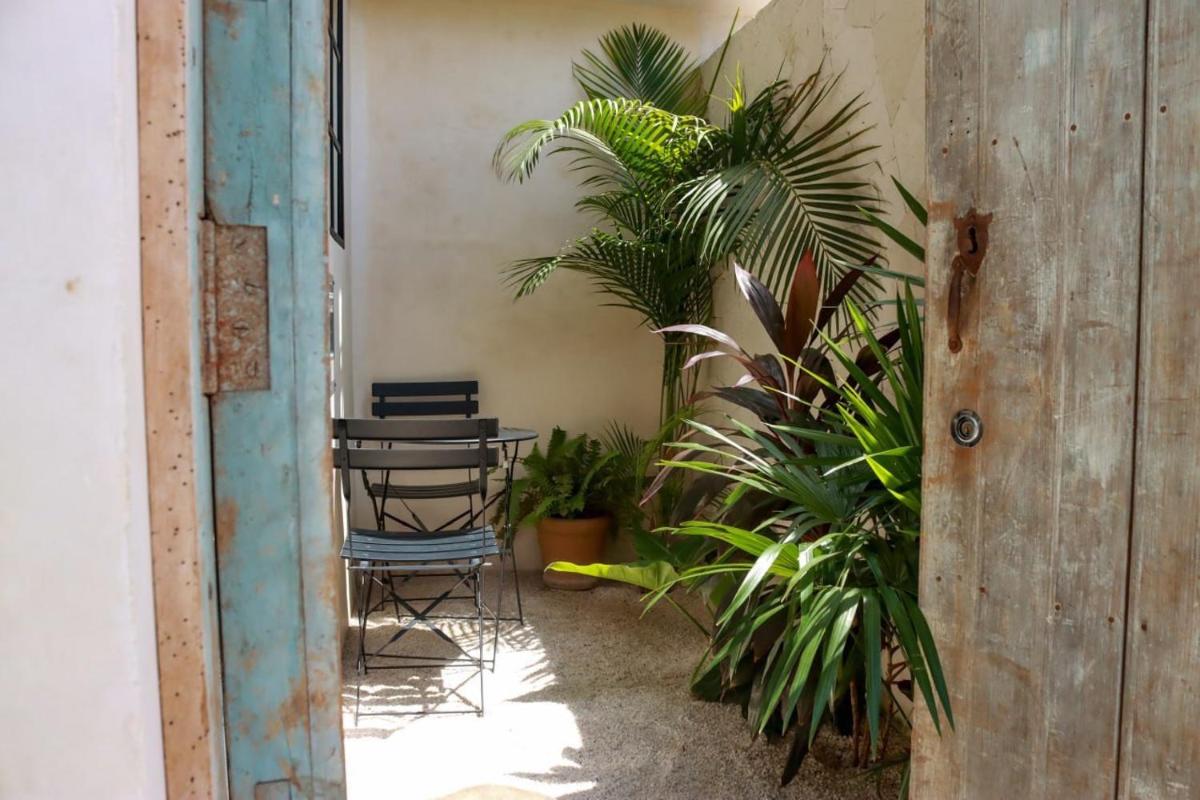 Maison de Reve - Estudios