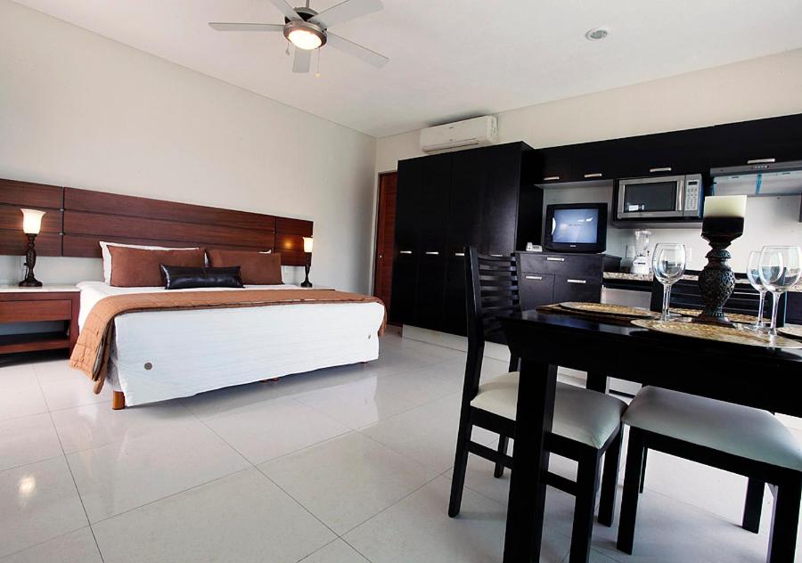 Marlica Estudio Shell