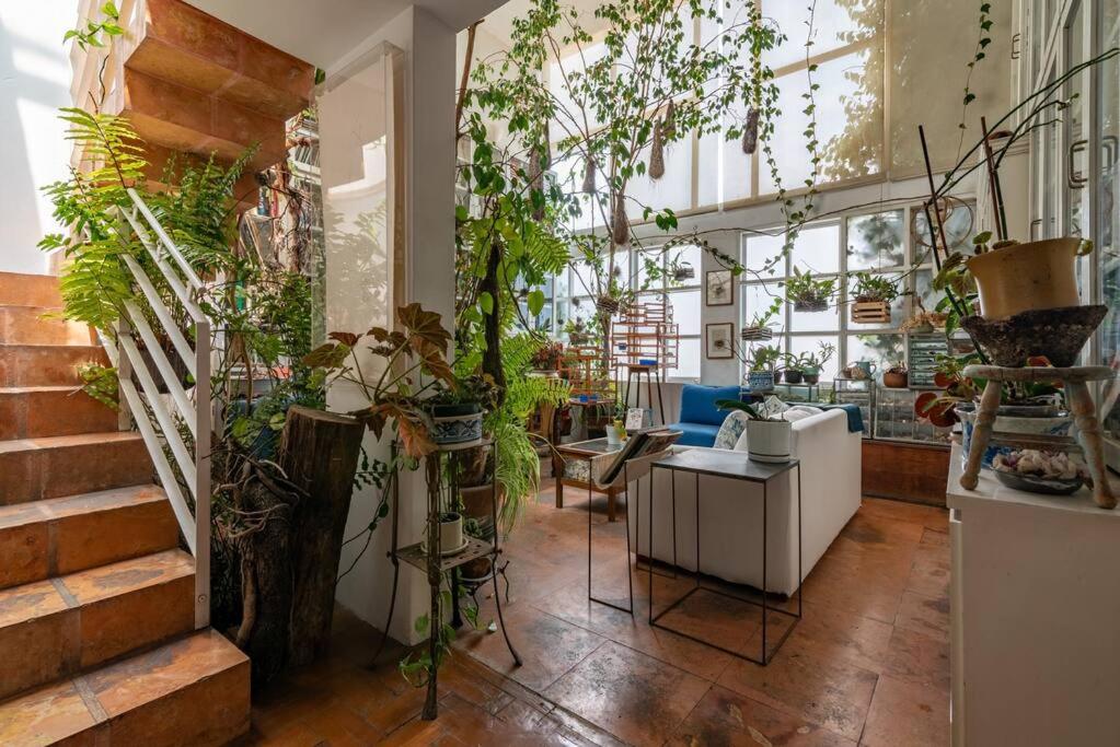 MrW Artist's Atelier Orchid Oasis 3Br House