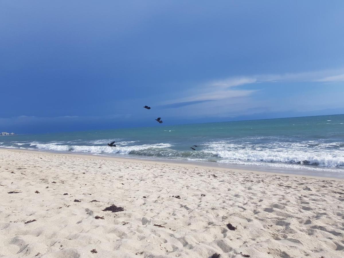 Nuevo Vallarta flamingos beach en bahia de banderas
