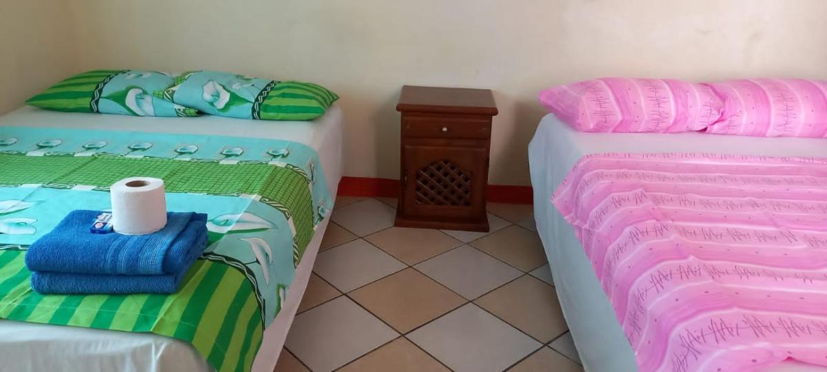 Quinta paloma