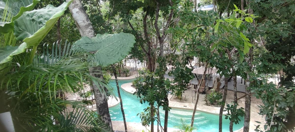 région 15, proche plage et Centre, studio au cœur de la jungle avec piscine, gym, mini golf , tamazcal, coworking, zone de hamac