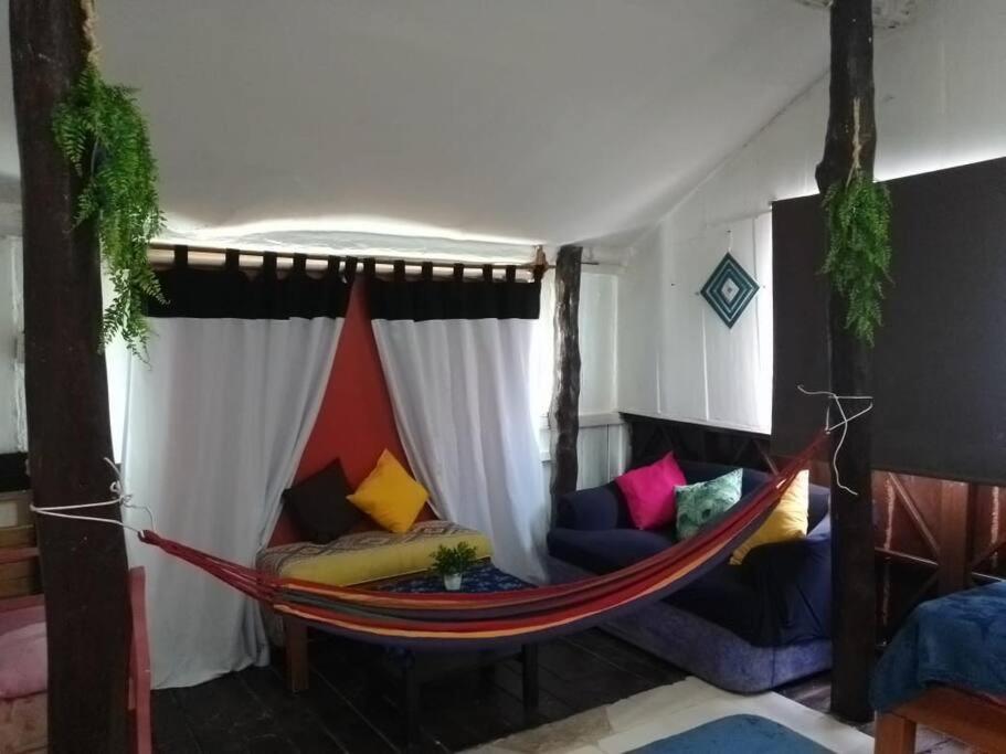 Starfish Appartment