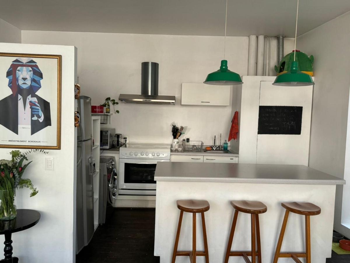 Stylish Pet-friendly Apt at Roma Norte