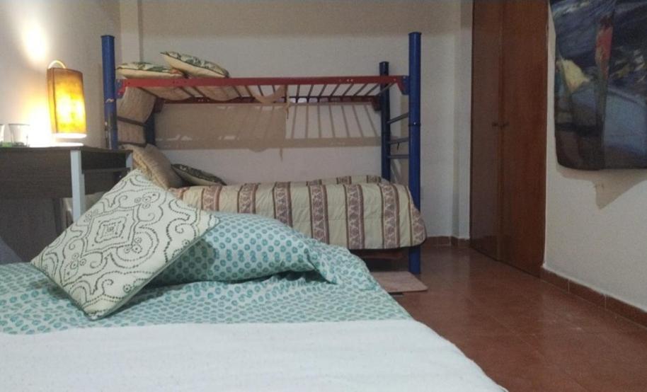 Suite alebrijes highlands