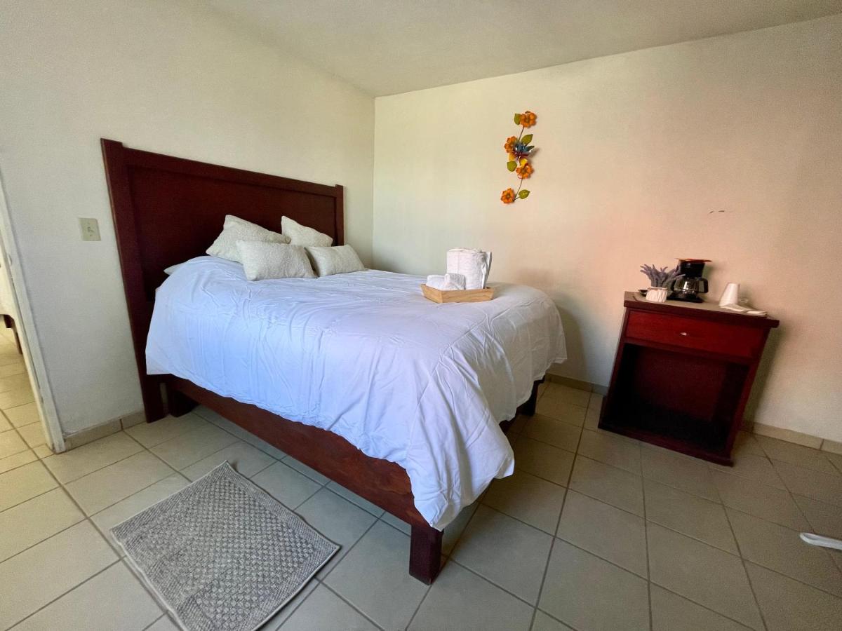 Suite AMAI, Valle de Guadalupe