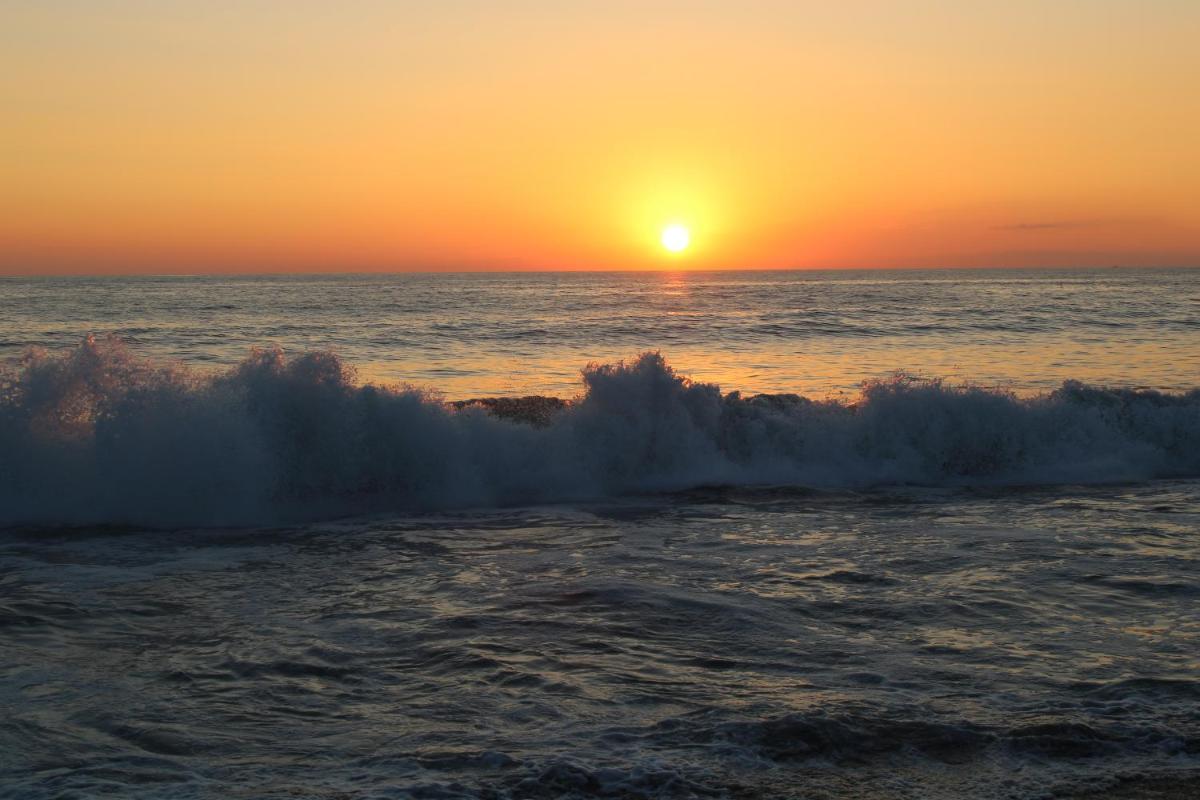 Surf Paradise Zicatela