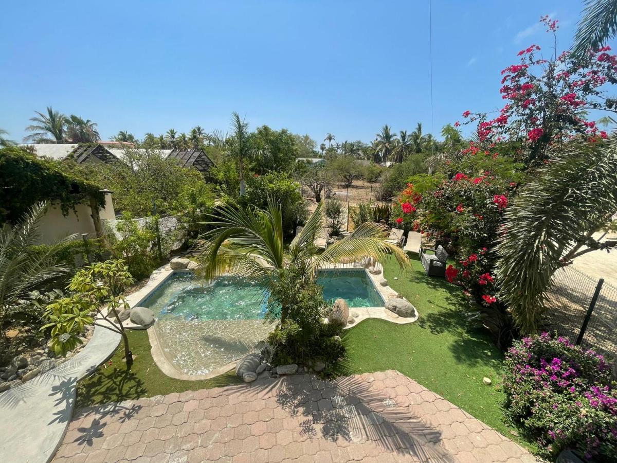 Tropical Oasis