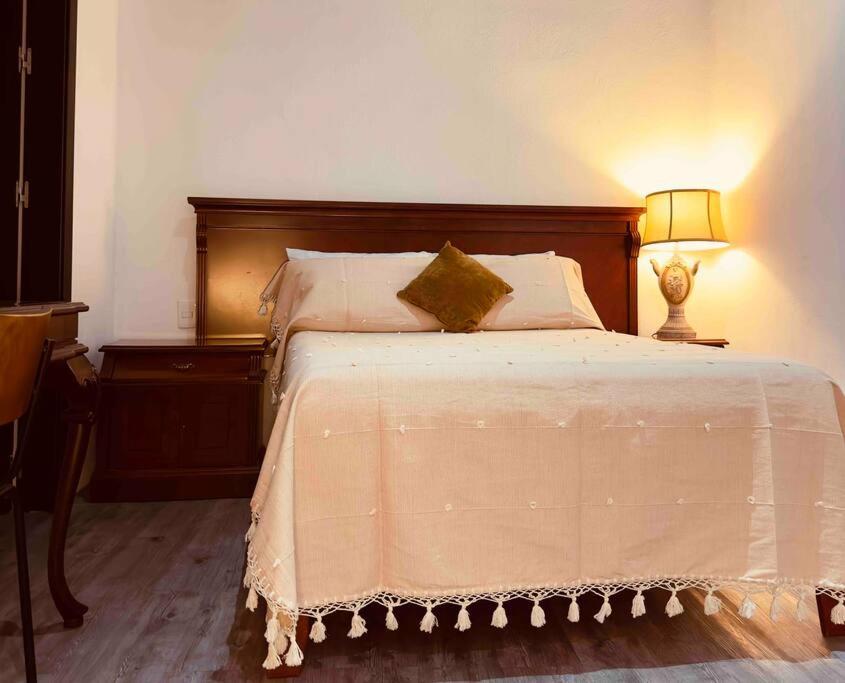 U36-207 Spacious and elegant loft downtown CDMX
