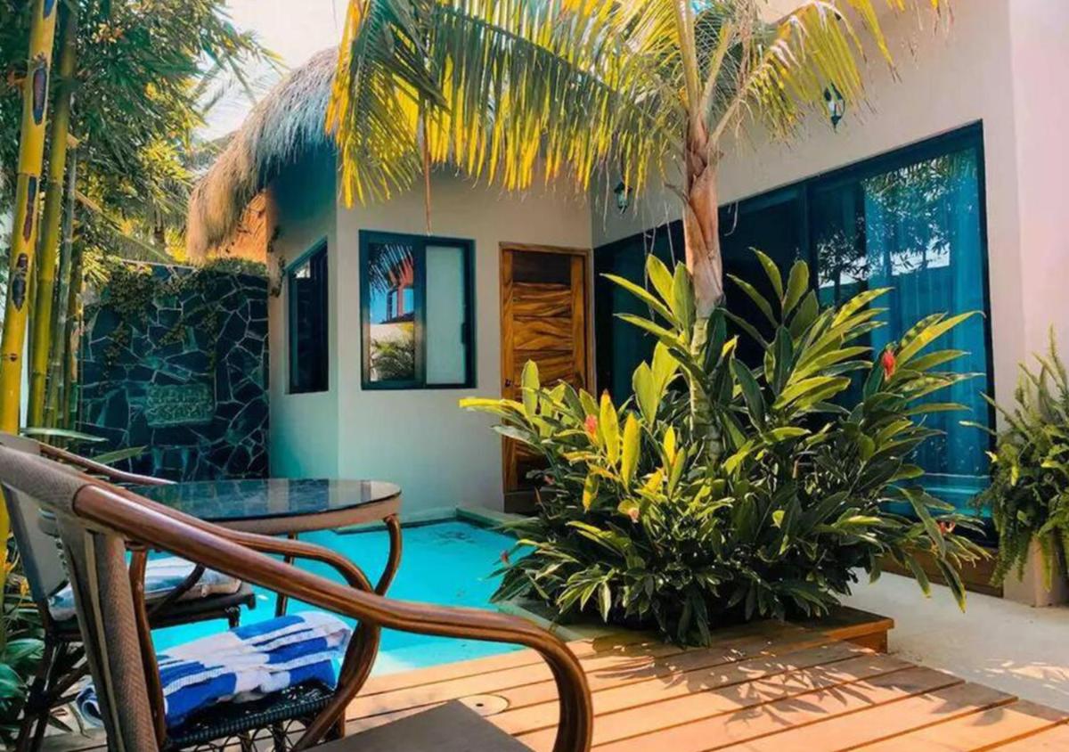 Villa Oasis deLux • Alberca privada